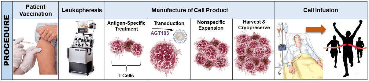 A diagram of how AGT's gene therapy treatment for HIV works