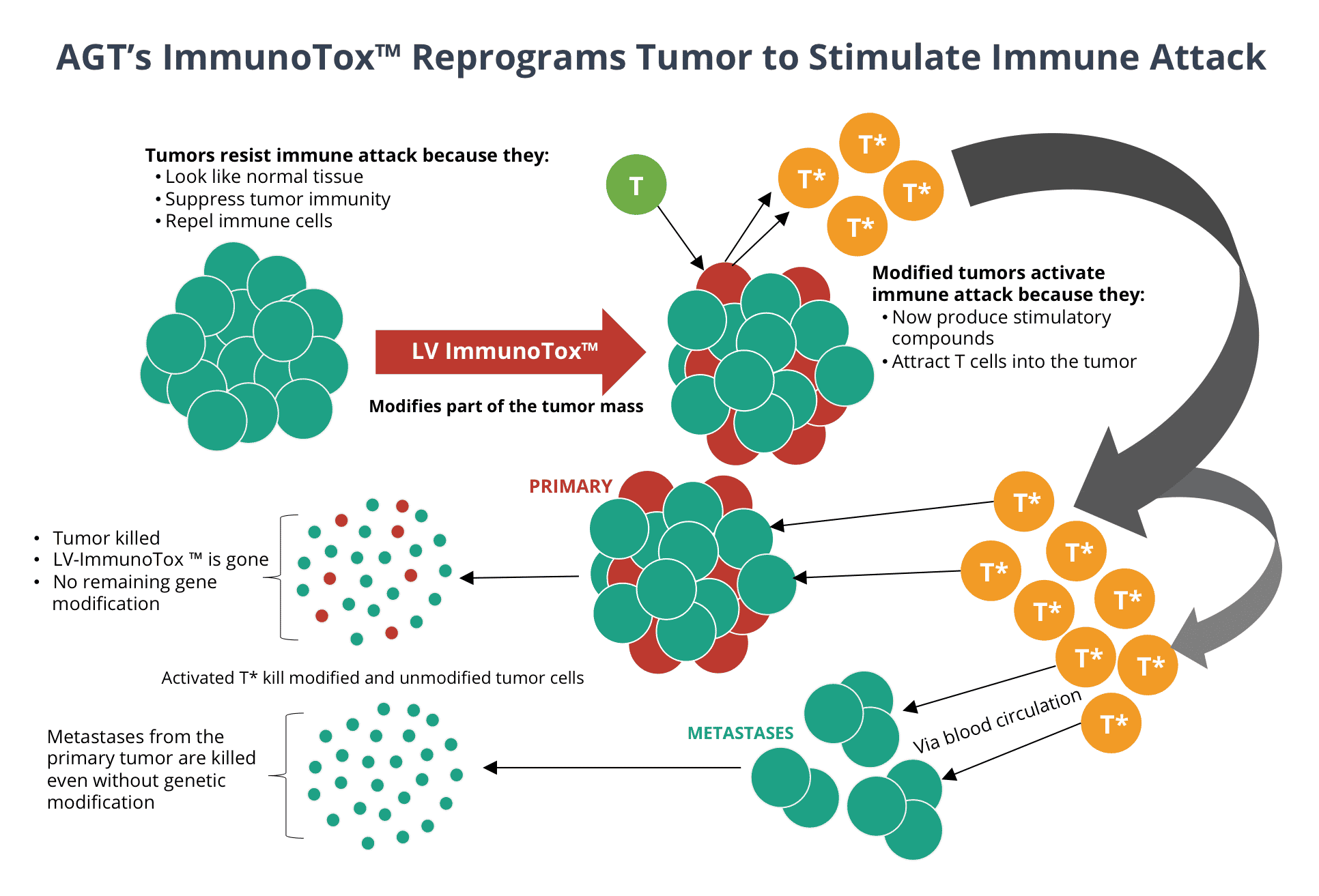 180405-AGT-New-ImmunoTox-Website-Graphic-3 180405-AGT-New-ImmunoTox-Website-Graphic-3