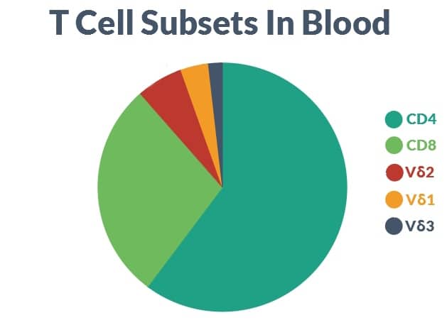 T cell subsets in blood